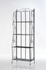 TPFGarden Standregal Lehar - Blumenständer - 4-stöckiges Pflanzenregal, Blumenregal - Pflanzengestell, Pflanzenständer mit den Maßen (HxB xT): 160 x 60 x 30 cm Bild 5