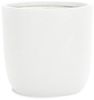 Pflanzwerk® Pflanzkübel CUP Premium Fiberglas Blumenkübel Frostbeständig mit Lotus-Effekt, Lotus-Effekt - Handgefertigt - Rund - Frostbeständig Bild 2