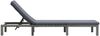 vidaXL Sonnenliege mit Auflage Poly Rattan Anthrazit 47752 Bild 3