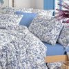 TRAUMSCHLAF Bettwäsche Vicenza, Renforce, 2 teilig, florales Design auf 100% Baumwolle Bild 2