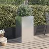vidaXL Pflanzkübel Silbern 42x38x75 cm Edelstahl 841581 Bild 3