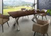Baumtisch Akazie 220x100x77 braun lackiert / X-Beine silber matt FREEFORM 5 Bild 3
