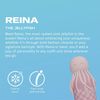 Bestie Bottle Reina die Qualle Bild 3