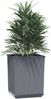 vidaXL Pflanzkübel 4 Stk. Blaugrau 30x30x37 cm Polypropylen 364185 Bild 3