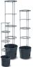 Prosperplast Pflanzkübel IPOM300-S433, Topf für Tomatenpflanze 12L Tomatenzüchter Bild 2
