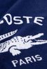 Lacoste Badetuch LORIGIN, Frottier (1-St), mit Label-Applikationen Bild 3