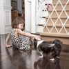 Relaxdays Ausziehbares Hundeabsperrgitter in Weiß Bild 3