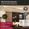 URail Pendel 3-Step-Dim Alejandro 800lm 10W 3000K dimmbar 230V Chrom matt Bild 2