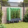 vidaXL Hochbeet mit Gewächshaus-Aufsatz Rattan-Optik 120x40x140 cm 4015834 Bild 3