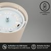 BRILONER - LED Tischlampe kabellos mit Touch, dimmbar in Stufen, höhenverstellbar, Nachttischlampe, Leselampe, Campinglampe, Tischleuchte, Akku Lampe, Outdoor Lampe, 36x10,5 cm, Beige Bild 4