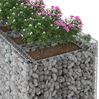 vidaXL Gabionen-Hochbeet 2 pcs Silber 3422219 Bild 4