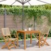 vidaXL Gartenstühle 2 Stk. Beige Massivholz Akazie und Poly Rattan 367665 Bild 3