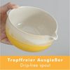 Goodwei Teeservice Matcha Latte Set Fuji Yellow (4-tlg), 1 Personen, Keramik, handgearbeitet Bild 2