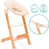 Fillikid Hochstuhl Pia Swing (Set, 3 St), inkl. Neugeborgenenaufsatz und Wippe Bild 3