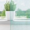 vidaXL Voile Vorhänge mit Ösen 2 Stk. Türkis 4102145 Bild 3