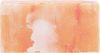 vidaXL Salzsteine 10 pcs Rosa 20 x 10 x 5 cm Steinsalz 42046536 Bild 5