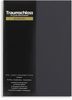 Traumschloss Spannbettlaken Premium, Jersey, Gummizug: rundum, (1 Stück), 165g/m², 95% gekämmte Mako Baumwolle, 5% Elasthan Bild 3