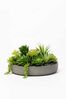 VIVANNO Pflanzschale Fiberglas ORYVEN Schale - Betongrau Beton-Design (1 St), 30x5 cm Bild 3