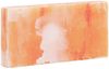 vidaXL Salzsteine 20 pcs Rosa 20 x 2,5 x 10 cm Steinsalz 42052311 Bild 2