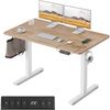 FEZIBO Schreibtisch Elektrisch Höhenverstellbar 100x60 cm Steh-Sitz Tisch Bild 1