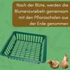 GarPet Pflanzschale 12x Pflanzkörbe für Blumenzwiebeln Pflanzkorb Pflanzschale 28x26 cm Bild 5