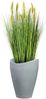 Scheurich Blumentopf 40/254 Bild 3