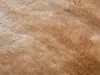 Vente-unique - DOLCE Teppich Stoff Beige - B 200 cm x H 4 cm x L 200 cm Bild 4