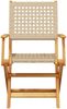 vidaXL Gartenstühle 4 Stk. Klappbar Beige Poly Rattan & Massivholz 3214562 Bild 4