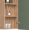 Hängeschrank Izan Grün/Goldkraft Eiche 36.6 x 76.6 cm Vicco Bild 5