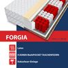 Matratze FORGIA 9 Zonen 100 x 200 LATEX Kokos H3 H4 Taschenfederkern 19cm Bild 4