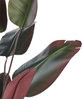 Kunstpflanze BANANA TREE 163 cm Grün Bild 4
