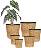 Scheurich Blumentopf Ø 24 cm Wasserhyazinte natur Bild 3