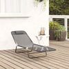 vidaXL Klappbare Sonnenliege Grau 182 x 55 x 85,5 cm Textilene 42003156 Bild 3