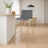 CLP Barhocker Hover stapelbar Kunststoffsitz Vierfußgestell Goldoptik bis 150 kg,grau Bild 3