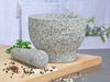 Mörser mit Stößel Reibe Zerkleinerer Gewürz Mühle aus Granit Bild 3