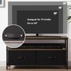GarveeMore TV-Schrank Lowboard Fernsehtisch Fernsehschrank für Fernseher bis zu 55 '' Bild 2