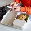 KOZIOL Lunchbox mit Trennsteg PASCAL L nature desert sand Bild 2