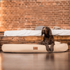 GILBERT VIP Orthopädisches Hundebett - 85x65cm, 02 Graphit Bild 5