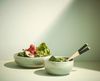 ASA Saisons Agave Salatschale 29,5 cm Bild 2