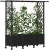 vidaXL Hochbeet mit Rankgitter und Dach Schwarz 162,5 x 40 x 142 cm PP 3423117 Bild 3