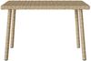vidaXL Garten-Couchtisch Rechteckig Beige 60x40x37 cm Poly Rattan 4104053 Bild 5