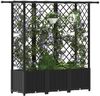 vidaXL Hochbeet mit Rankgitter und Dach Schwarz 163,5 x 40 x 136 cm PP 42032549 Bild 3