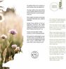 JUST LIGHT 15391-66 GREEN RITUS LED Deckenleuchte Moos 40cm Bild 5
