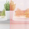 vidaXL Voile Vorhänge mit Schlaufen 2 Stk. Rosa 140x175 cm 4102287 Bild 3