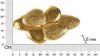 Dmora Wandlampe Eraclea, Wandleuchte, Licht, Wandstrahler, 44x11 h28 cm, Gold Bild 3