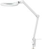 TOOLCRAFT Arbeitsleuchte TOOLCRAFT TO-7427319 LED-Lupenleuchte mit Klemme 1160 lm 178 mm (7) V Bild 5
