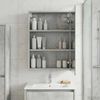 vidaXL Badezimmerspiegelschrank mit Regal Beton Grau 43 x 16 x 62.5 cm 889138 Bild 4