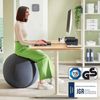 Leitz Sitzball Active 65420089 65cm grau Bild 2