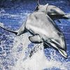 ESPiCO Sleep and Dream Bettwäsche Delphin 3D Digitaldruck blau Baumwolle 135 x 200 + 80 x 80 cm Bild 4