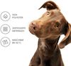 Hundematte-LEO 118x89x10cm Anthrazit Bild 5